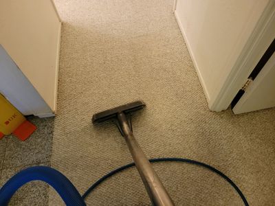 Annual, Home Carpet Cleaning