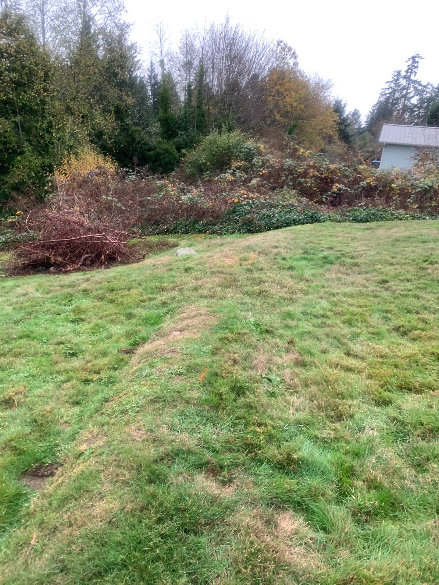 Sport Court |  Port Orchard by Jireh Asphalt & Concrete Inc 