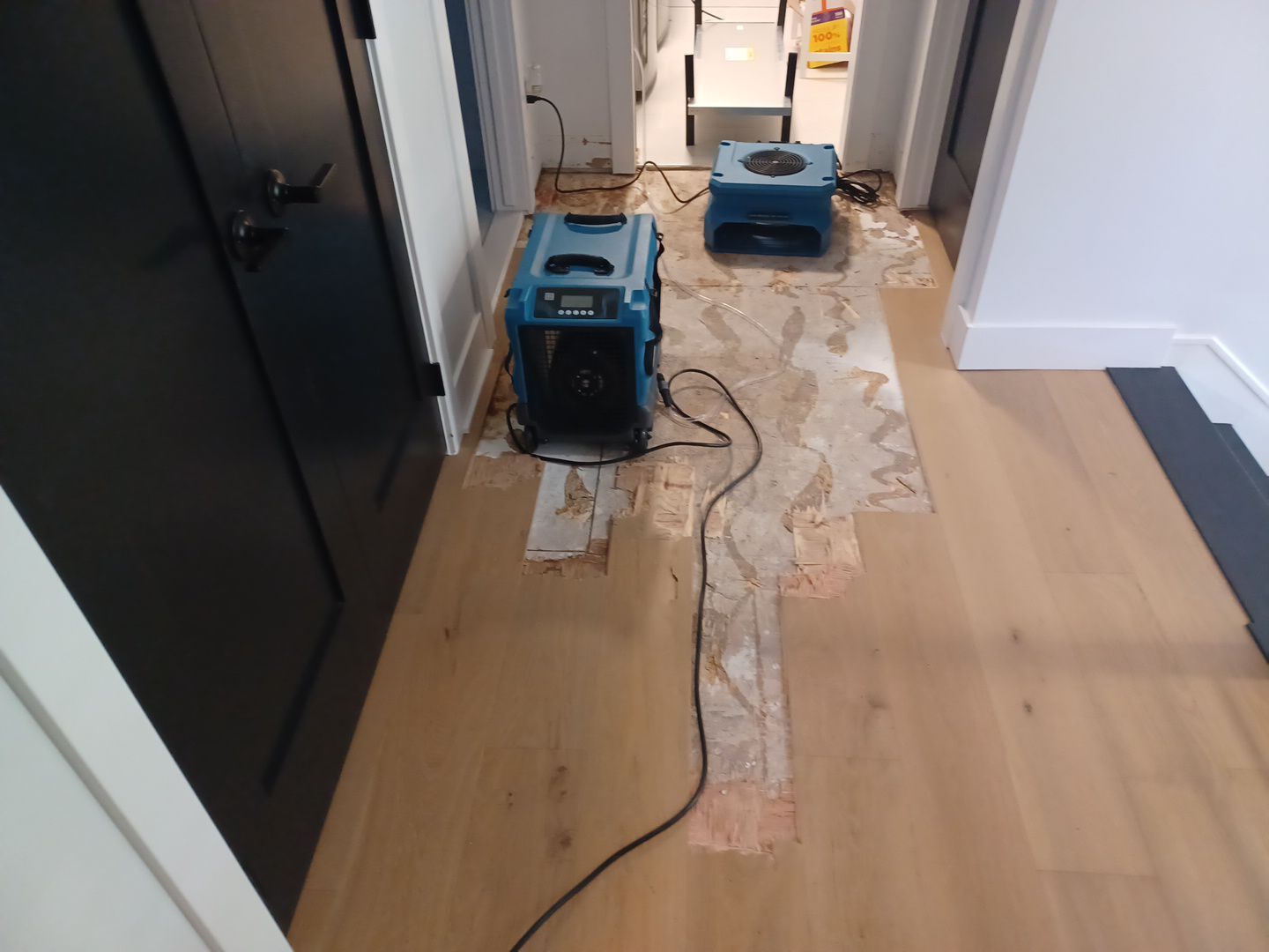 Project in Troy by EzDry Water Mitigation & Property Restoration