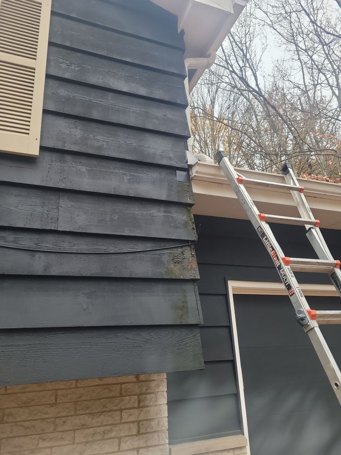 Karen Nichols by Silver Leaf Contracting 