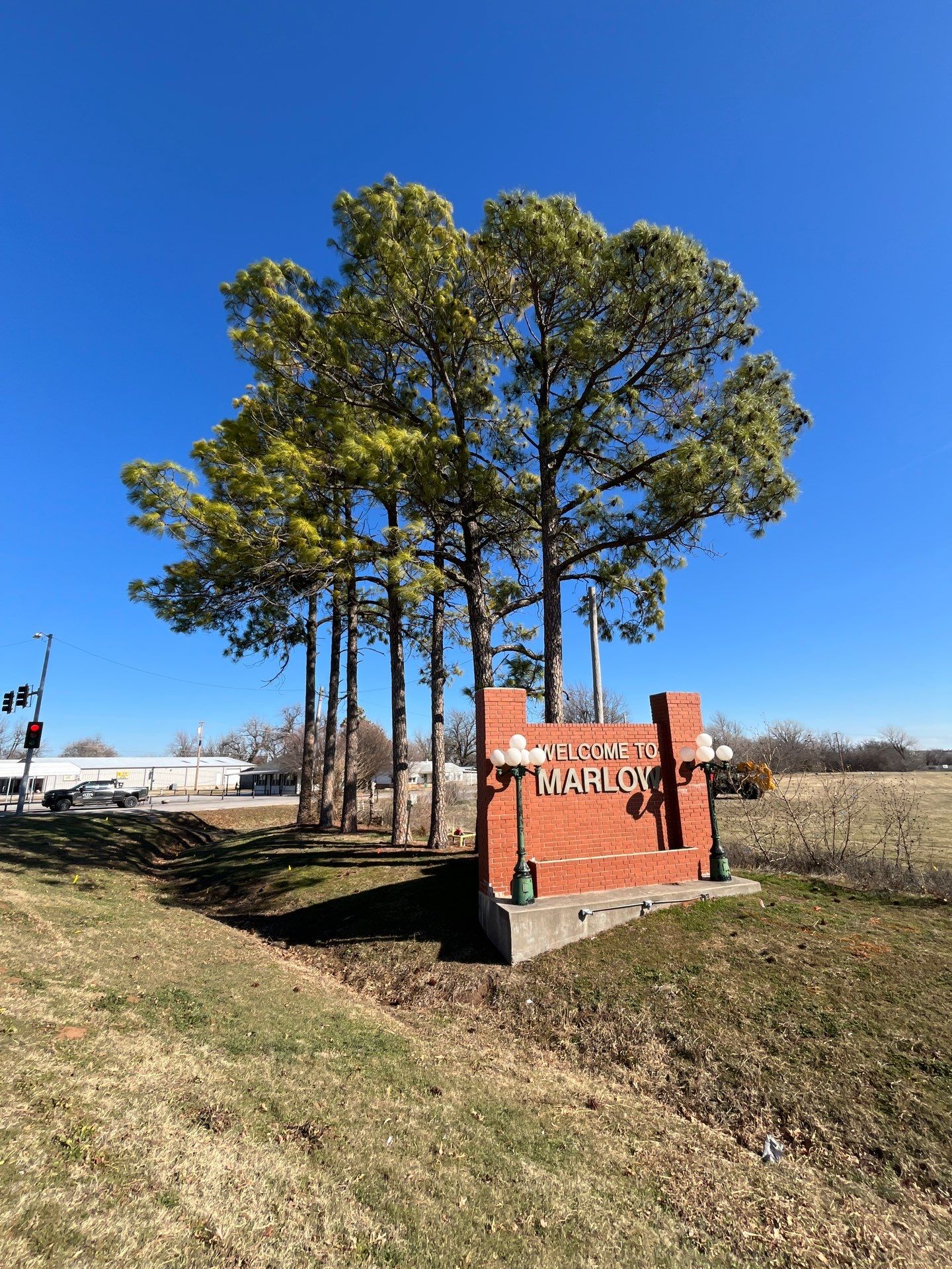Pine Removals by Clays Services Inc