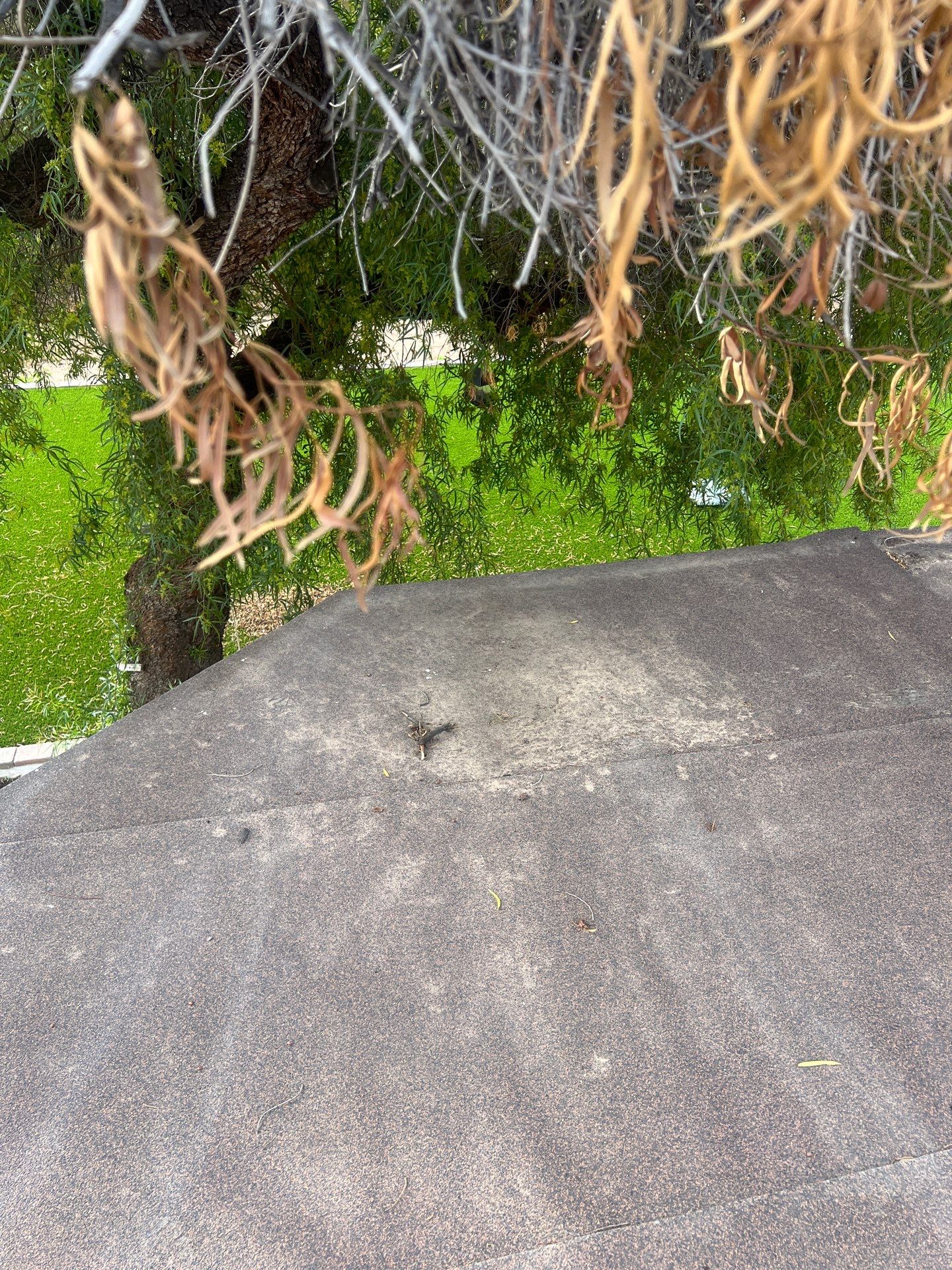 Modified Bitumen Membrane by Reimagine Roofing