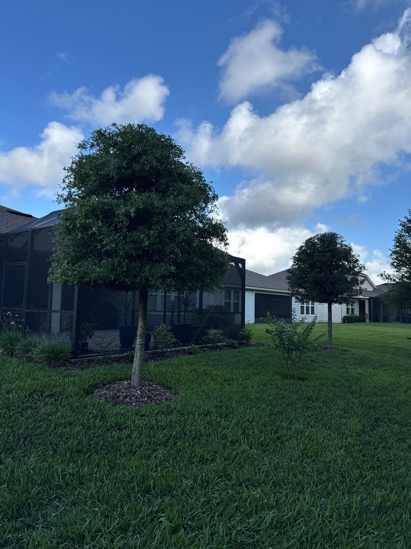 Residential | Topsoil Install & Tree Trimming by ProGreen Services