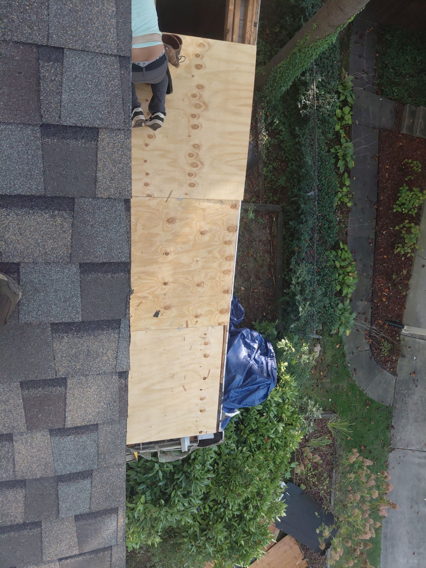 Springfield : Residential Roof Replacement with CertainTeed Landmark Pro in Max Weathered Wood  by RM Banning, Inc.