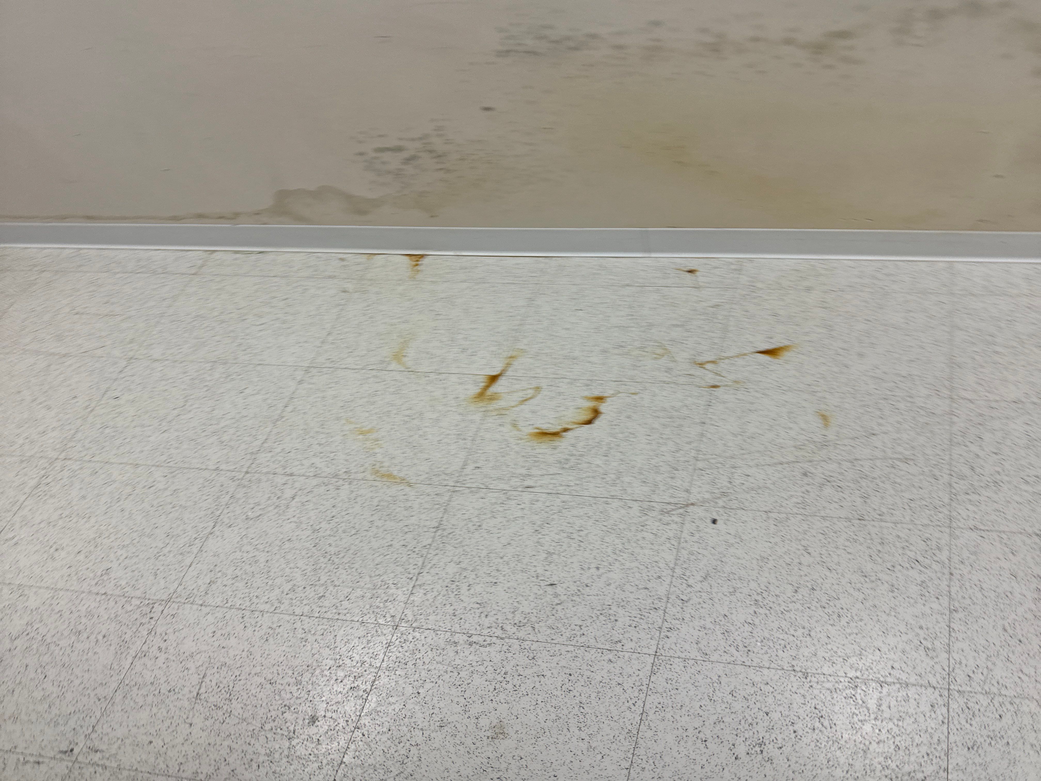 Mold Remediation Fairfield NJ by Pure Service Pro, LLC 