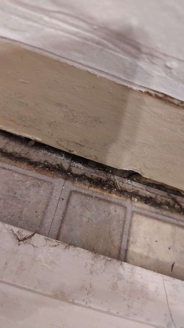 Mold Remediation by Accountable Home Services