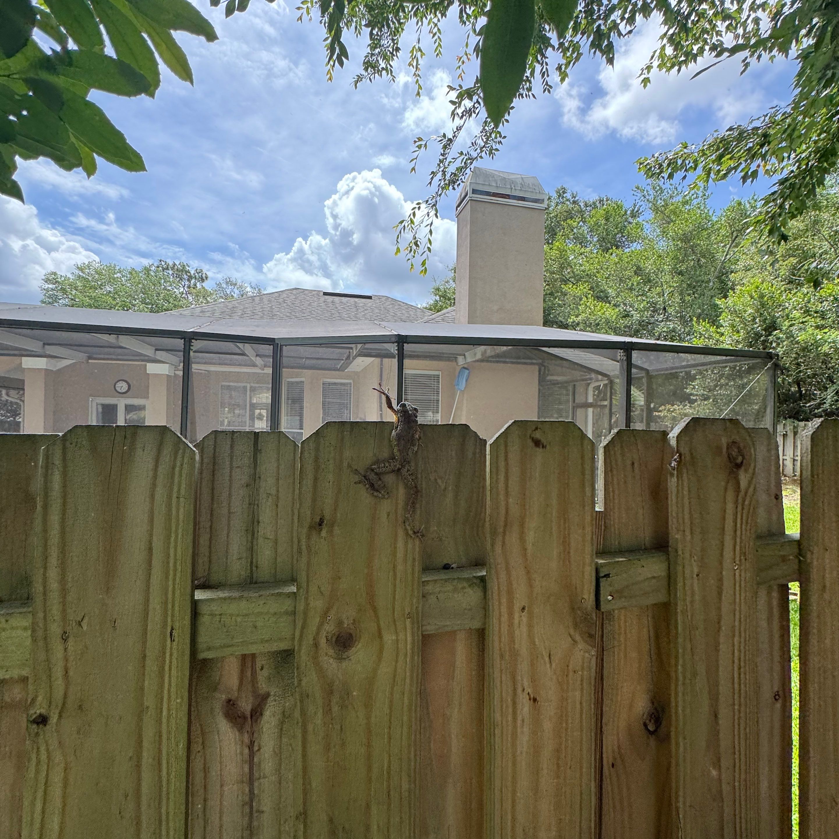 Deerwood Resident | Tree Trimming & Sod Install by ProGreen Services