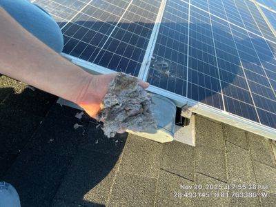 Dryer Vent Cleaning with Solar Panels in Clermont