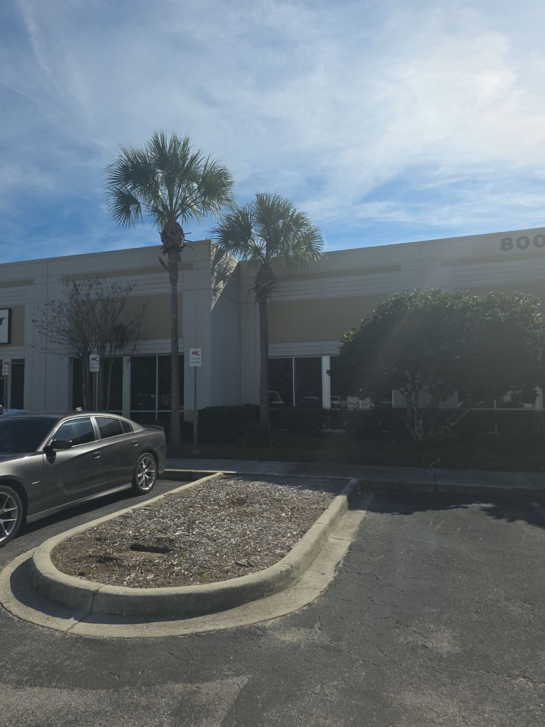 Tree & Palm Trimming | Commercial Property by ProGreen Services