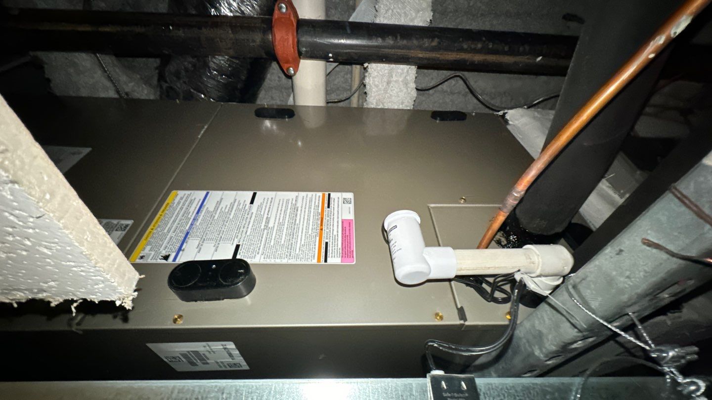 Commercial Air Duct Cleaning in Lake Mary by Hygienic Air, Inc