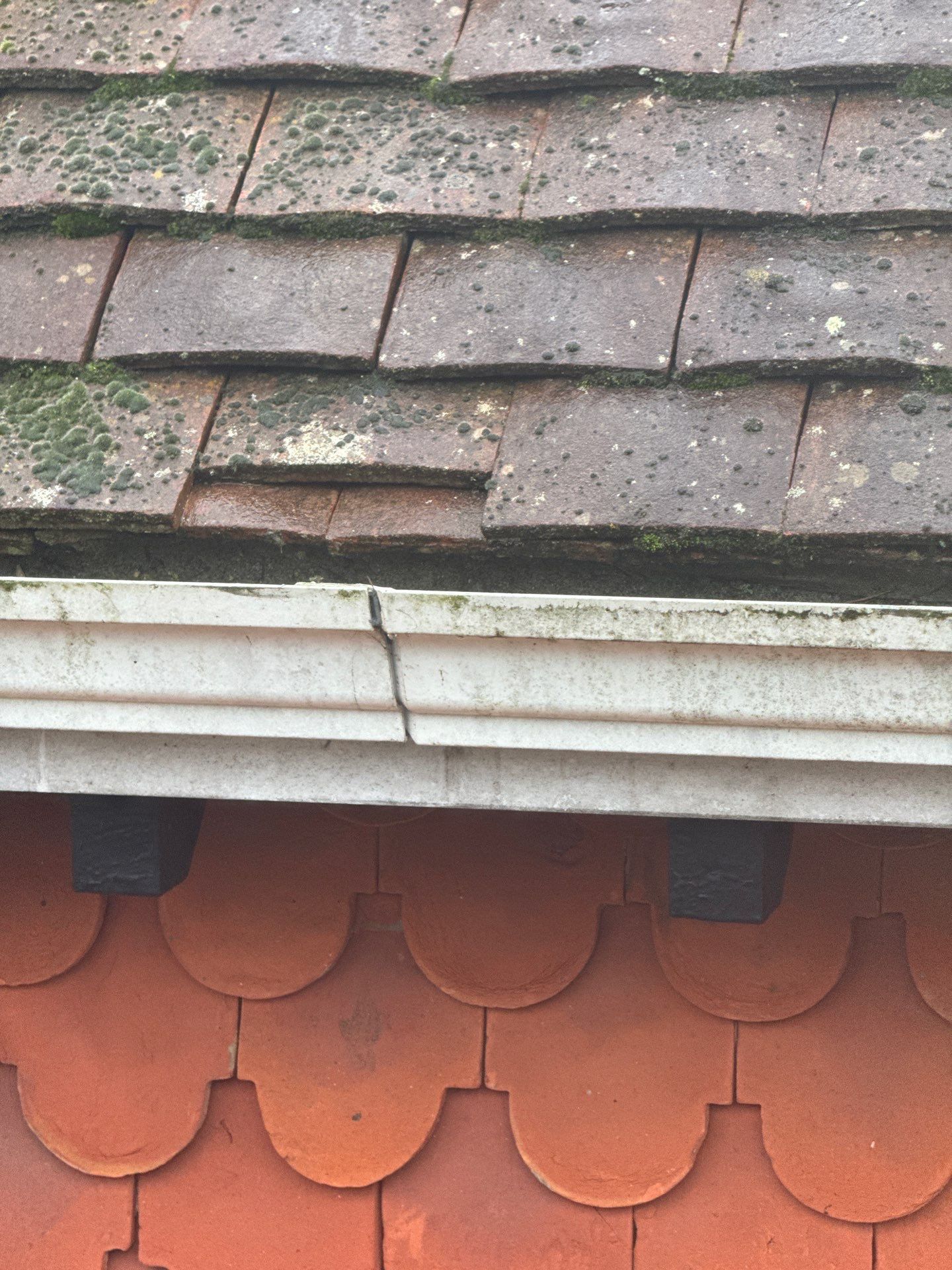 Roof Clean  - Moss Removal - Gutter Clean using Honda 15lpm Low Pressure Washing Machine by Ges Exterior Cleaning ltd