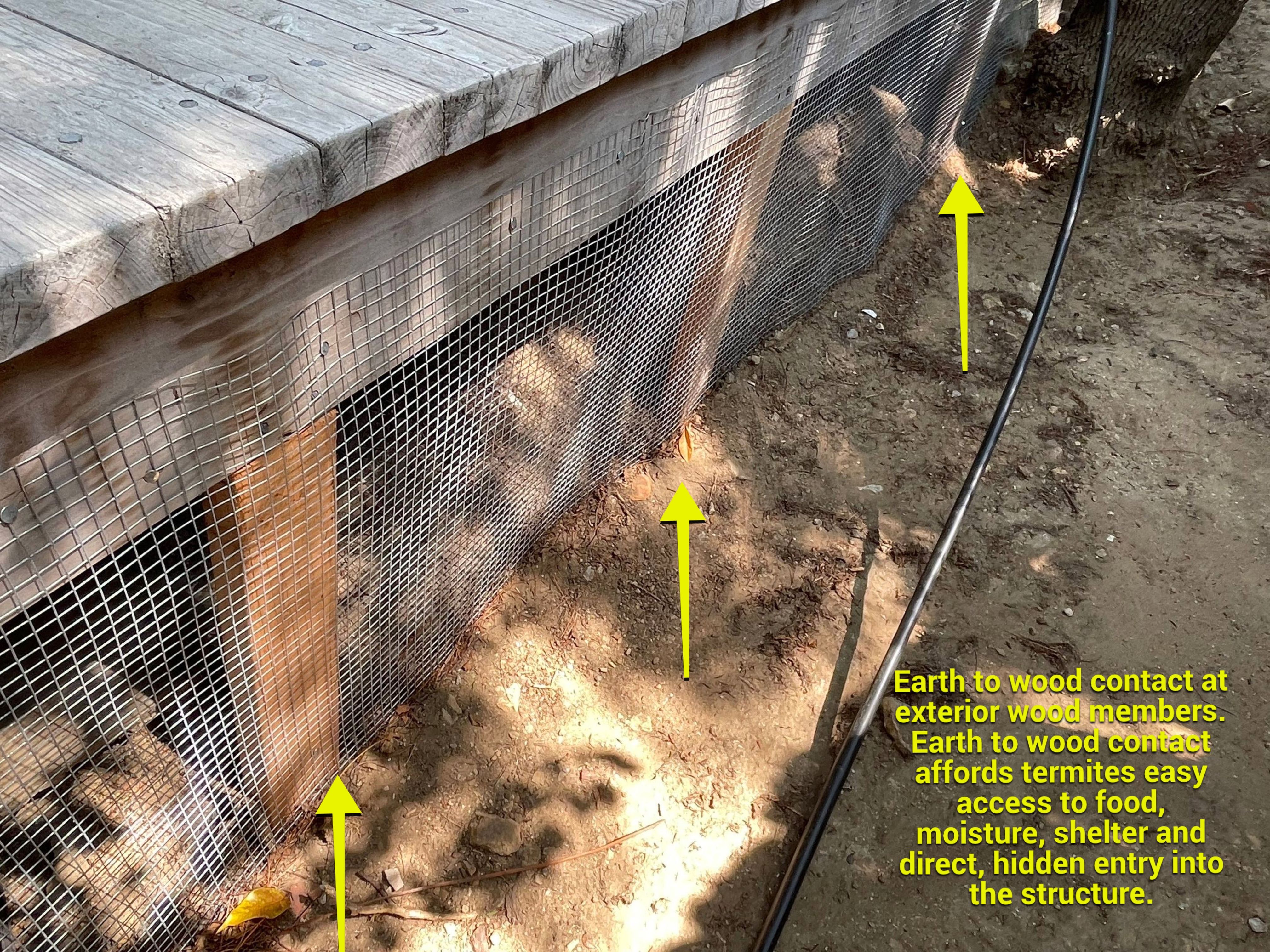 Wood Destroying Organisms Report by GLOBAL Termite Solutions