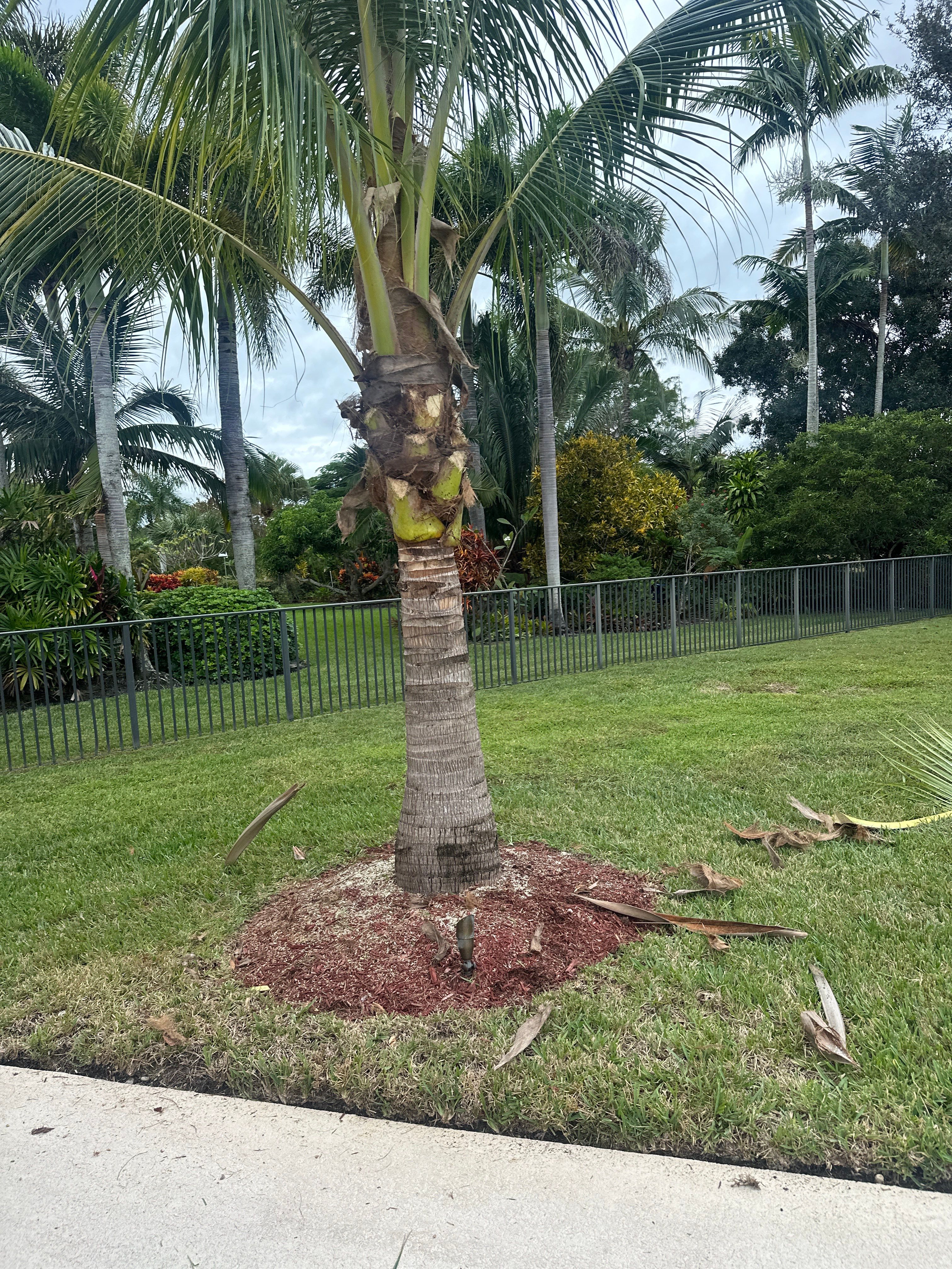 🌴✨ HAMMOCK CREEK SIGNATURE CLEANUP — THE ALPHA ZETA WAY ✨🌴 by Alpha Zeta Enterprises Inc