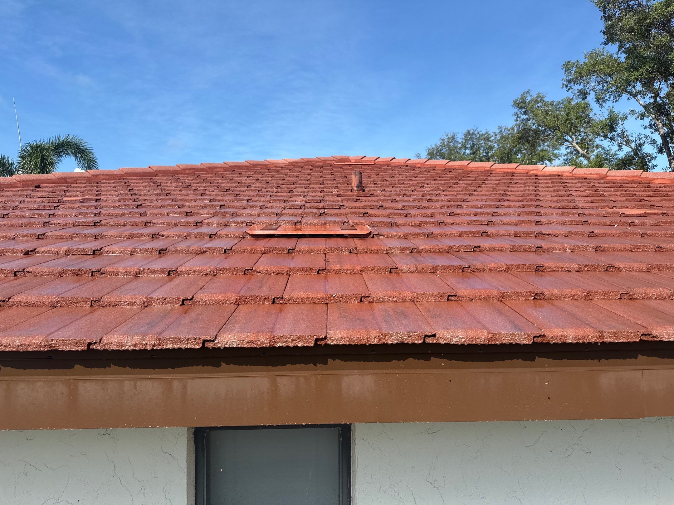 Tile Roof, Driveway & Patio Cleaning – Vivienda at Bradenton I by Sunshine AquaWash