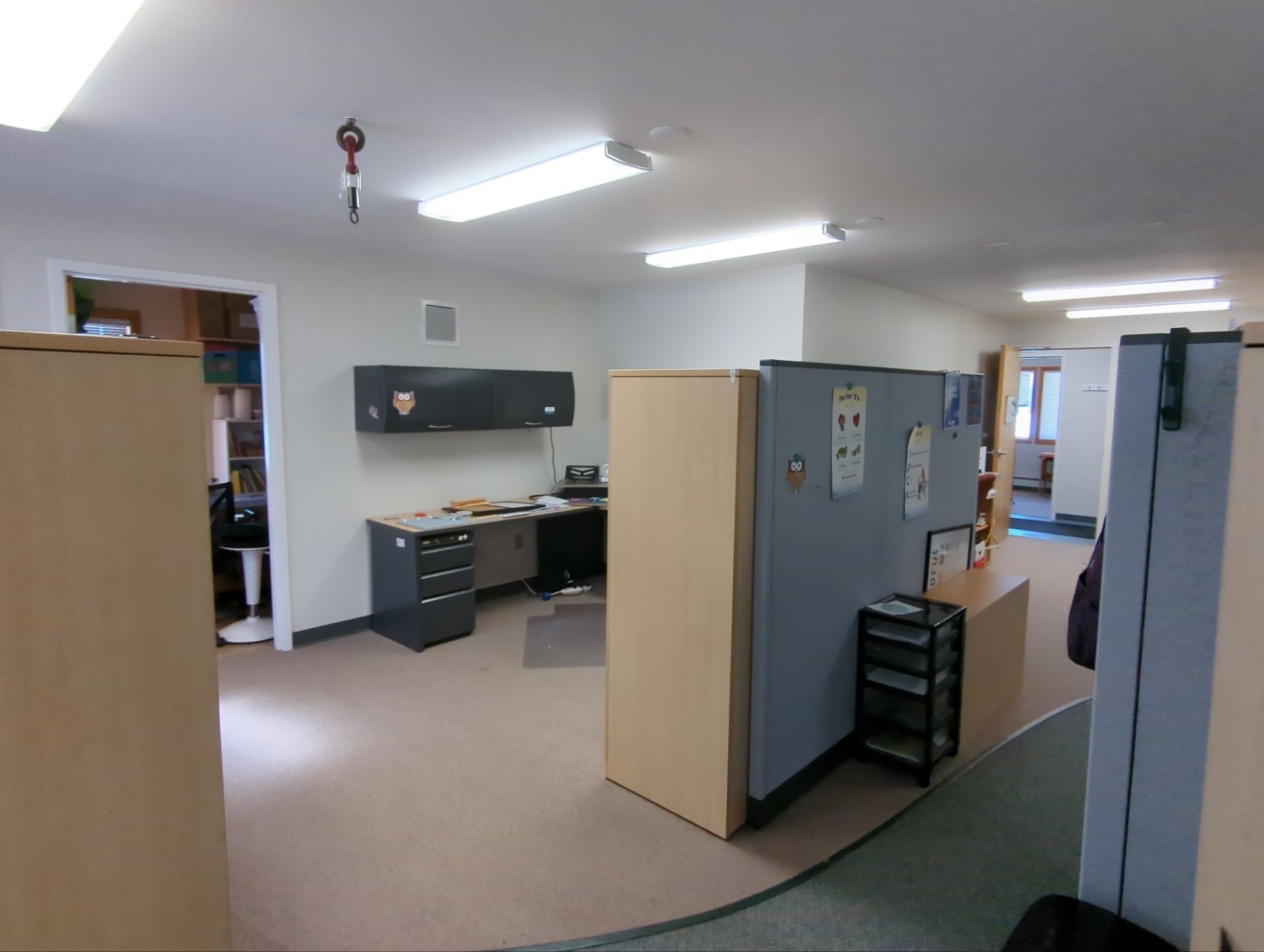Workplace Repaint! by Midnight Sun Painting