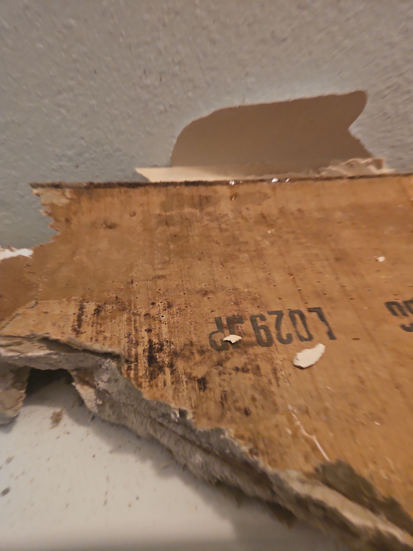 Water Damage Repair & Restoration Treatment by Ampm Restoration Services