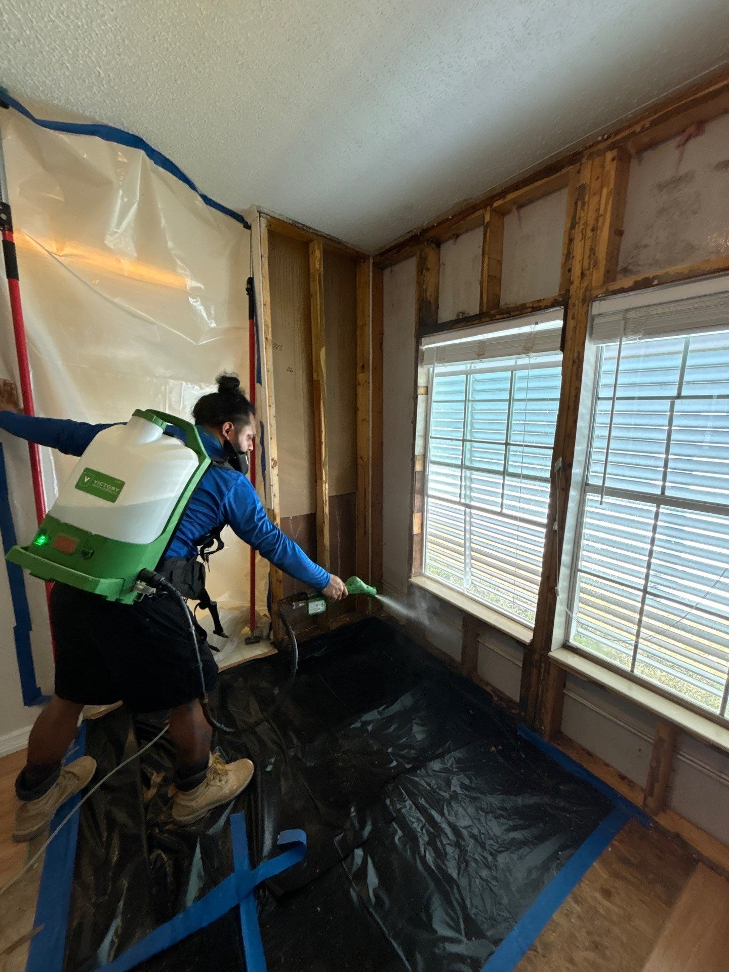 Mold Remediation Palmetto by Ampm Restoration Services 