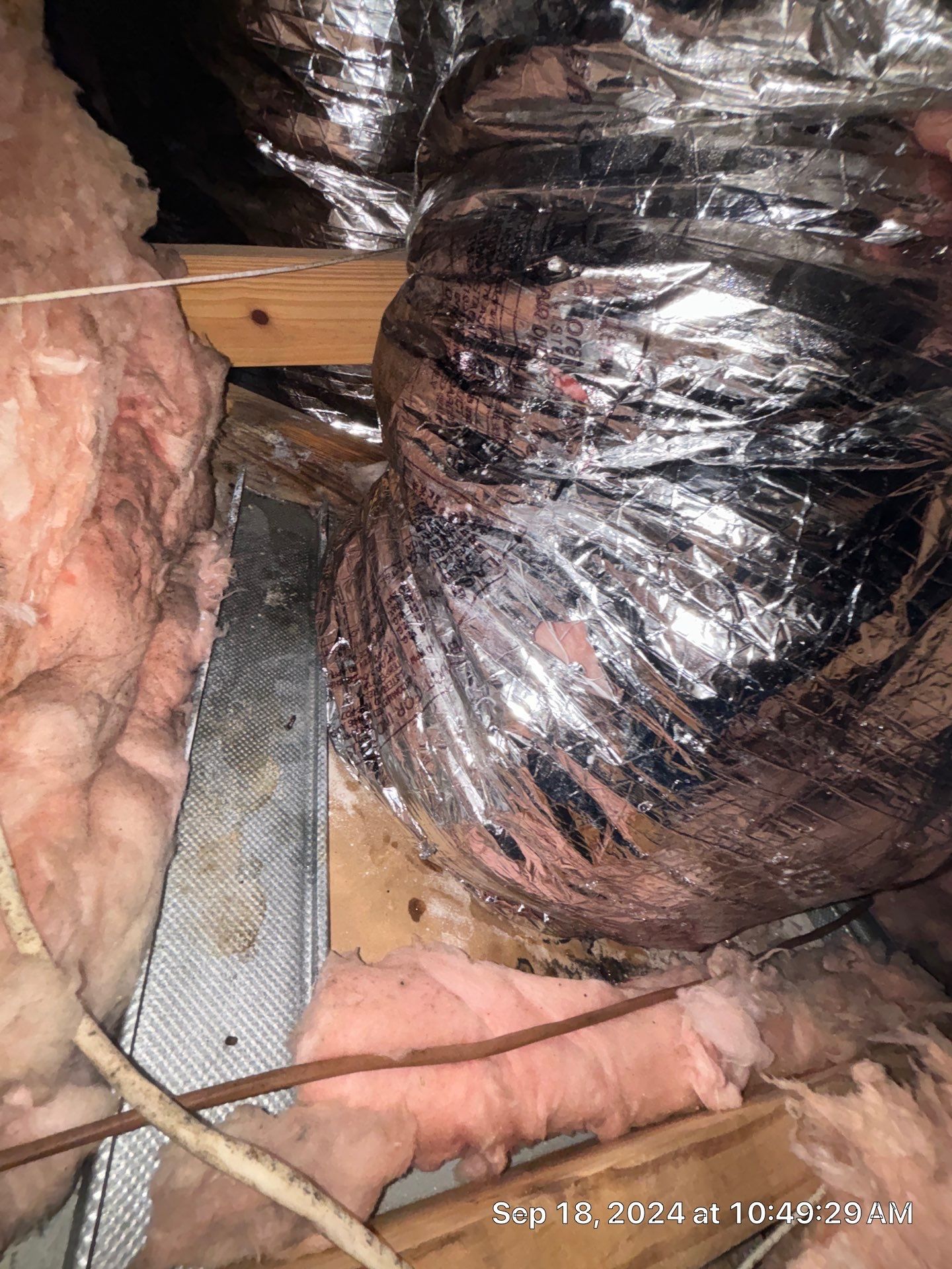 Nokomis Mold Remediation by Ampm Restoration Services