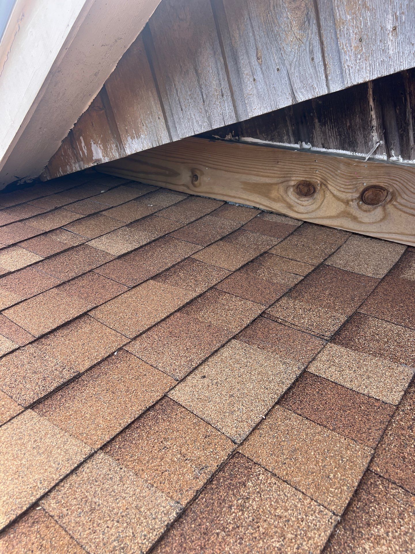 Vaulted Patio Cover by Bayfront Roofing and Construction