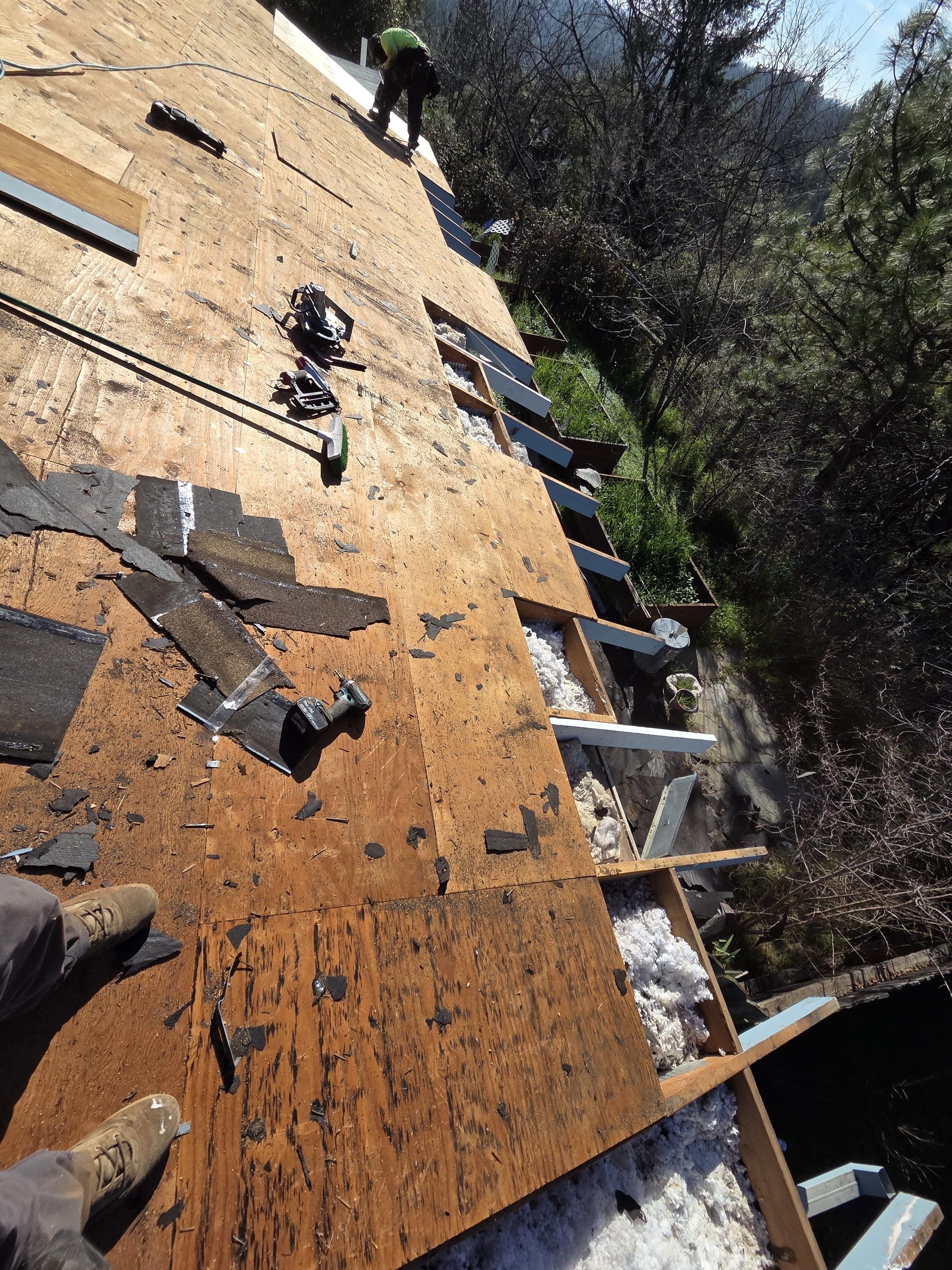 Project in Calfax  by NuLead Construction Inc