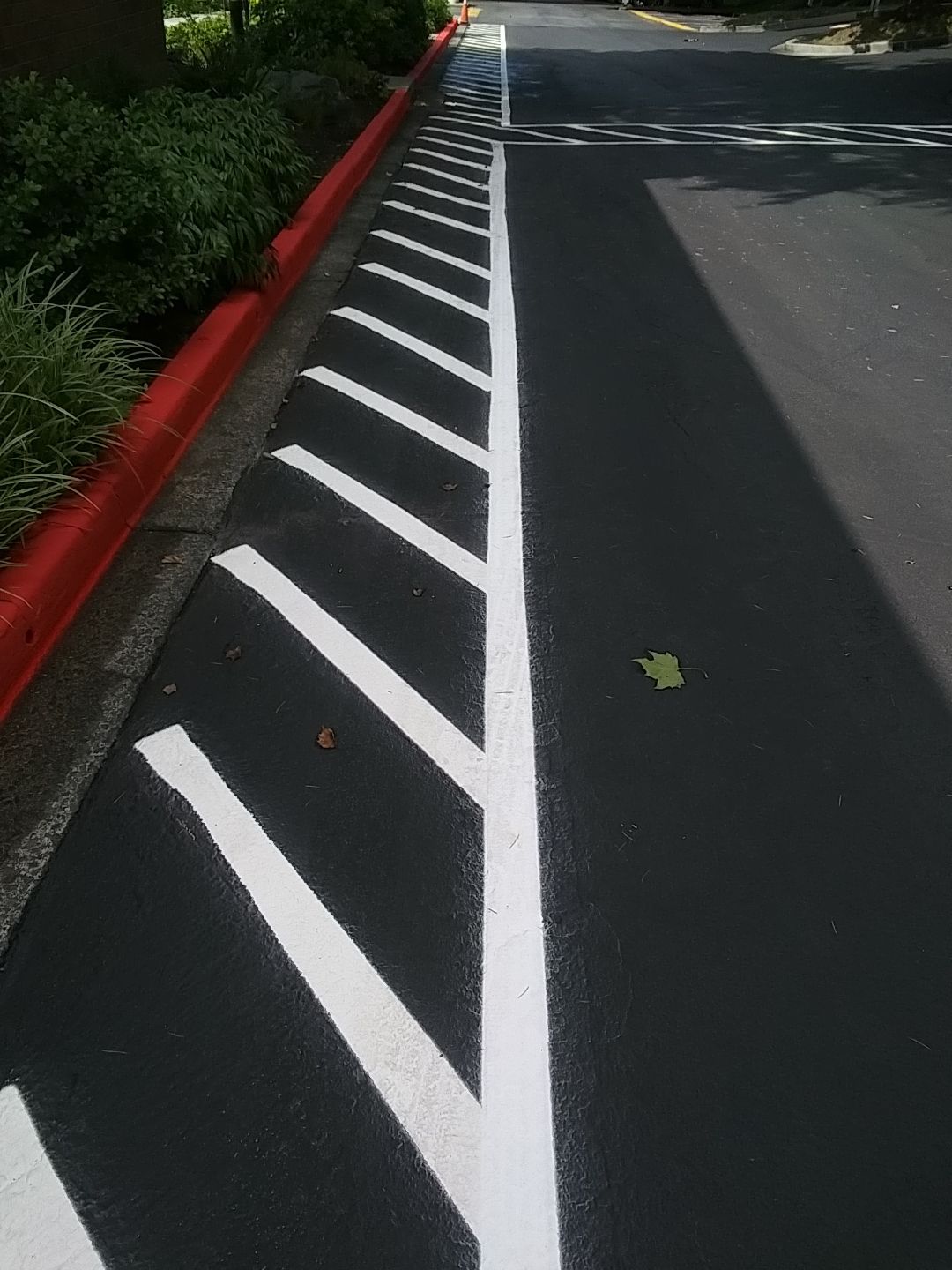 Eastside Preparatory School | Asphalt & Striping  by Jireh Asphalt & Concrete Inc 