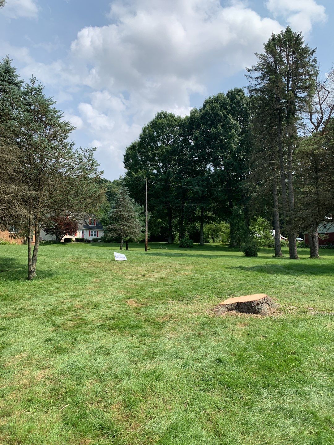 Tree Trimming & Tree Removal in Akron Ohio by Mike Jones & Sons Tree Service LLC 