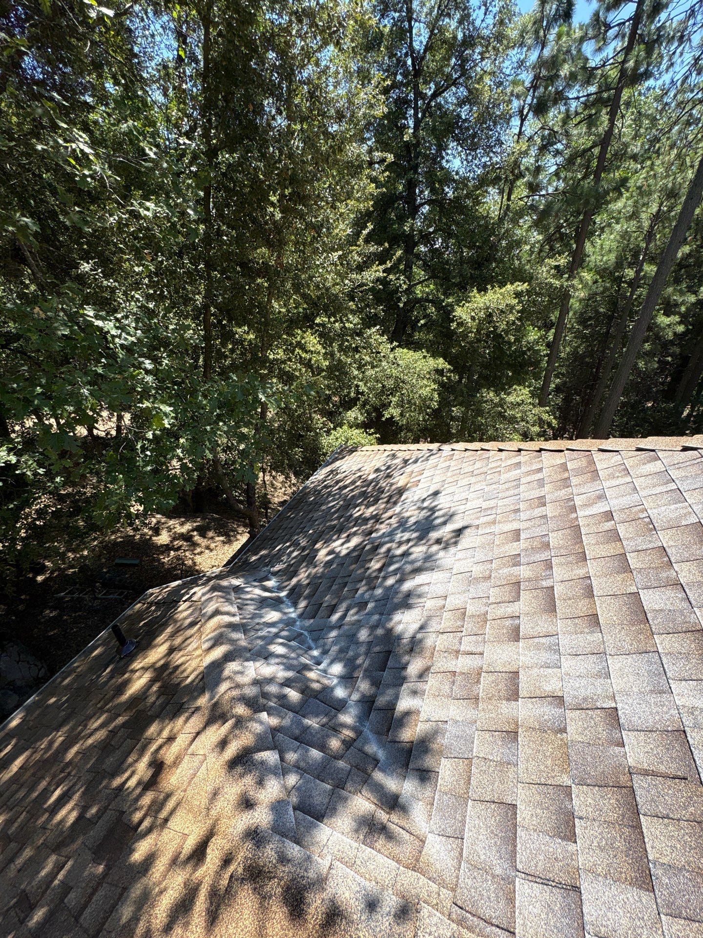 Roof Rejuvenation using Roof Maxx Treatment by Roof Maxx of Folsom