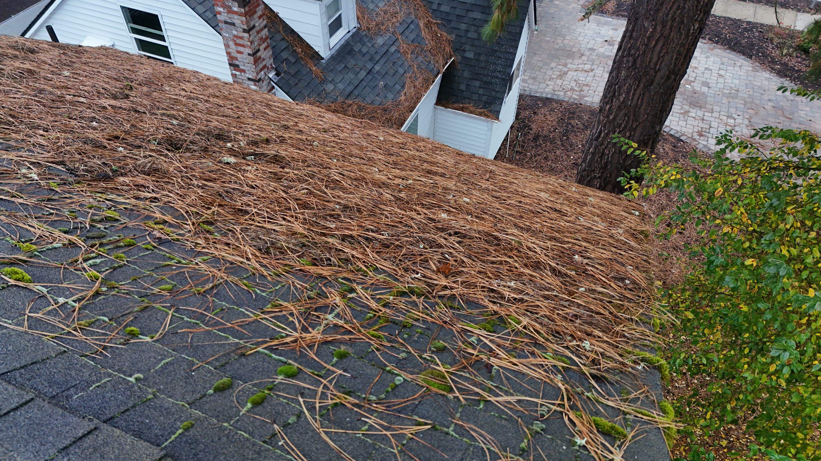 Severe Roof Maintenance in Beaverton by Prodigy Roof Solutions