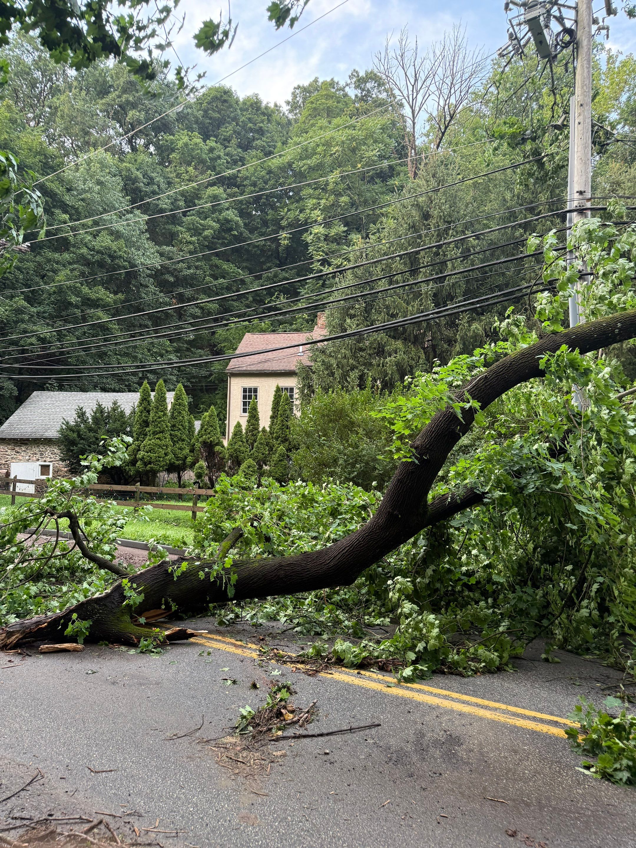 Wind & Storm Damage Claim in Gladwyne by FLAPA & KeyStone