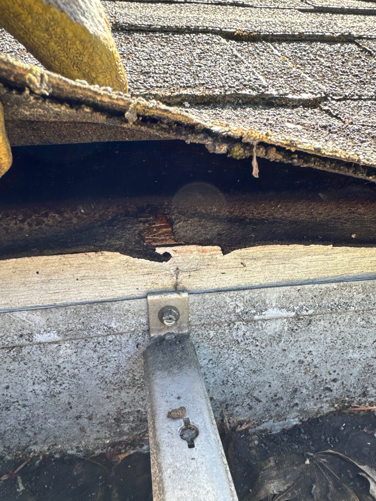 Project in Seattle by Peaks and Valleys Construction