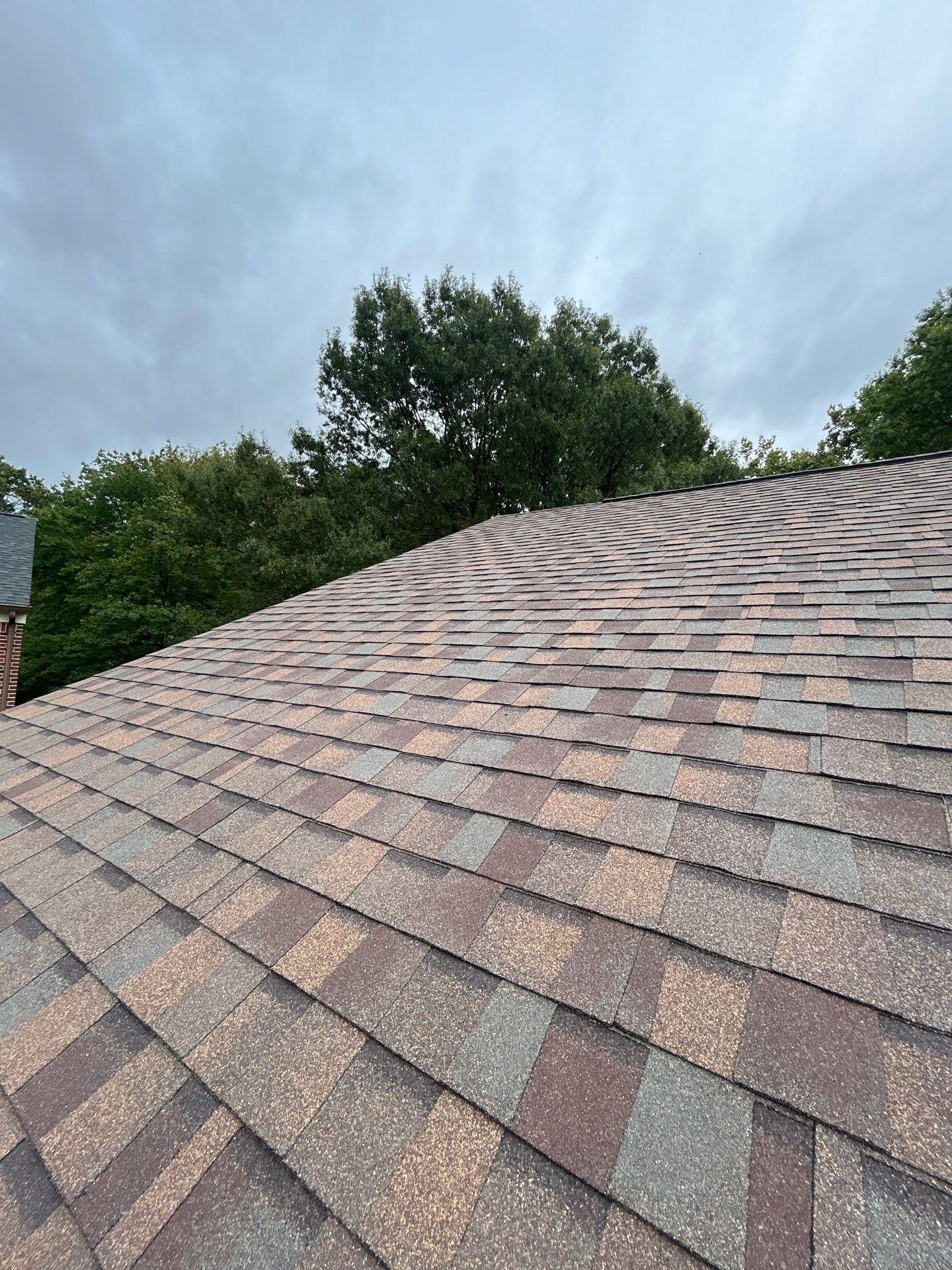 Alexandria : Residential Roof Replacement with CertainTeed Landmark Pro in Max Def Heather Blend  by RM Banning, Inc.