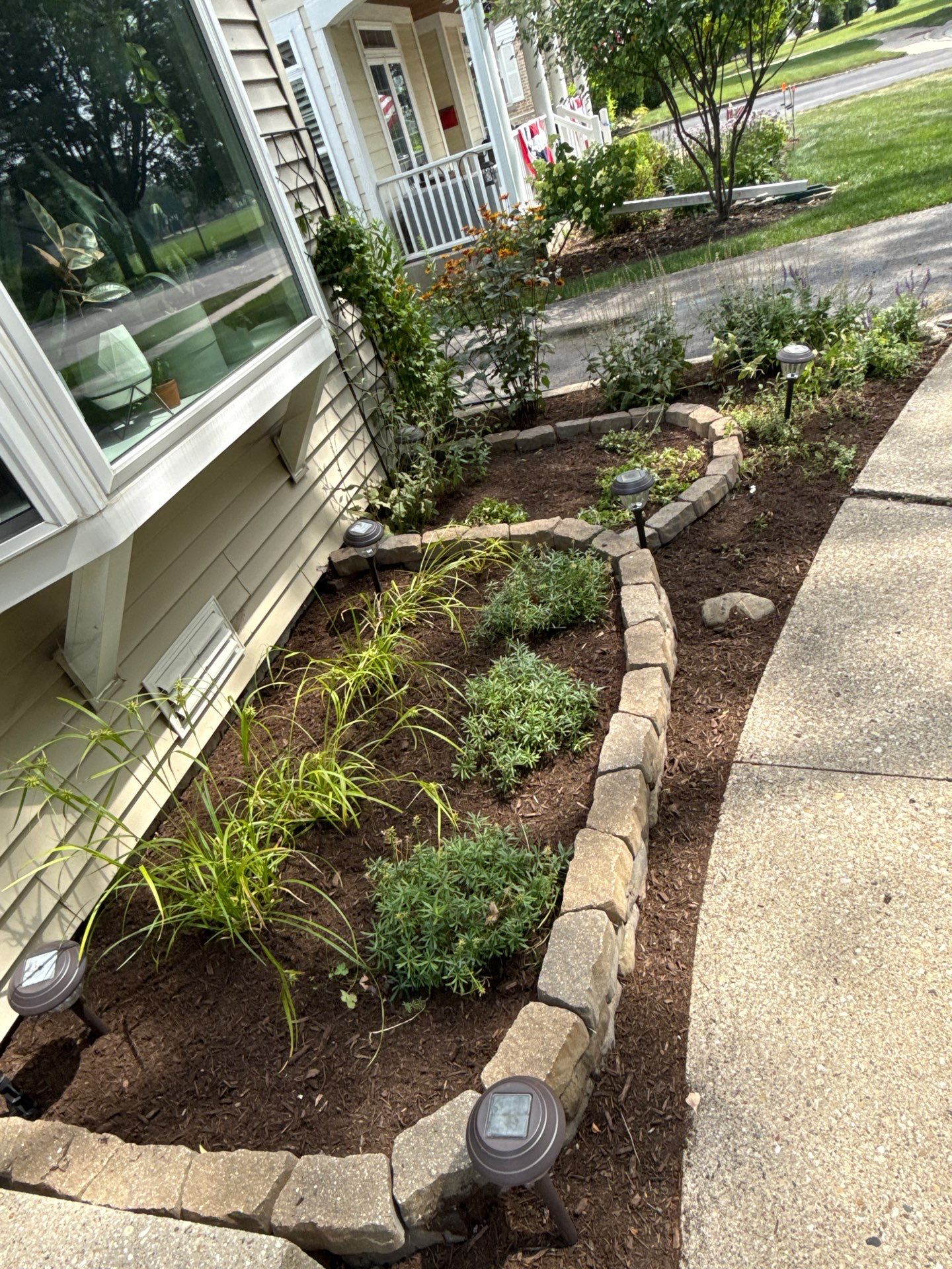 Allison C. - Arlington Heights, IL by A&N