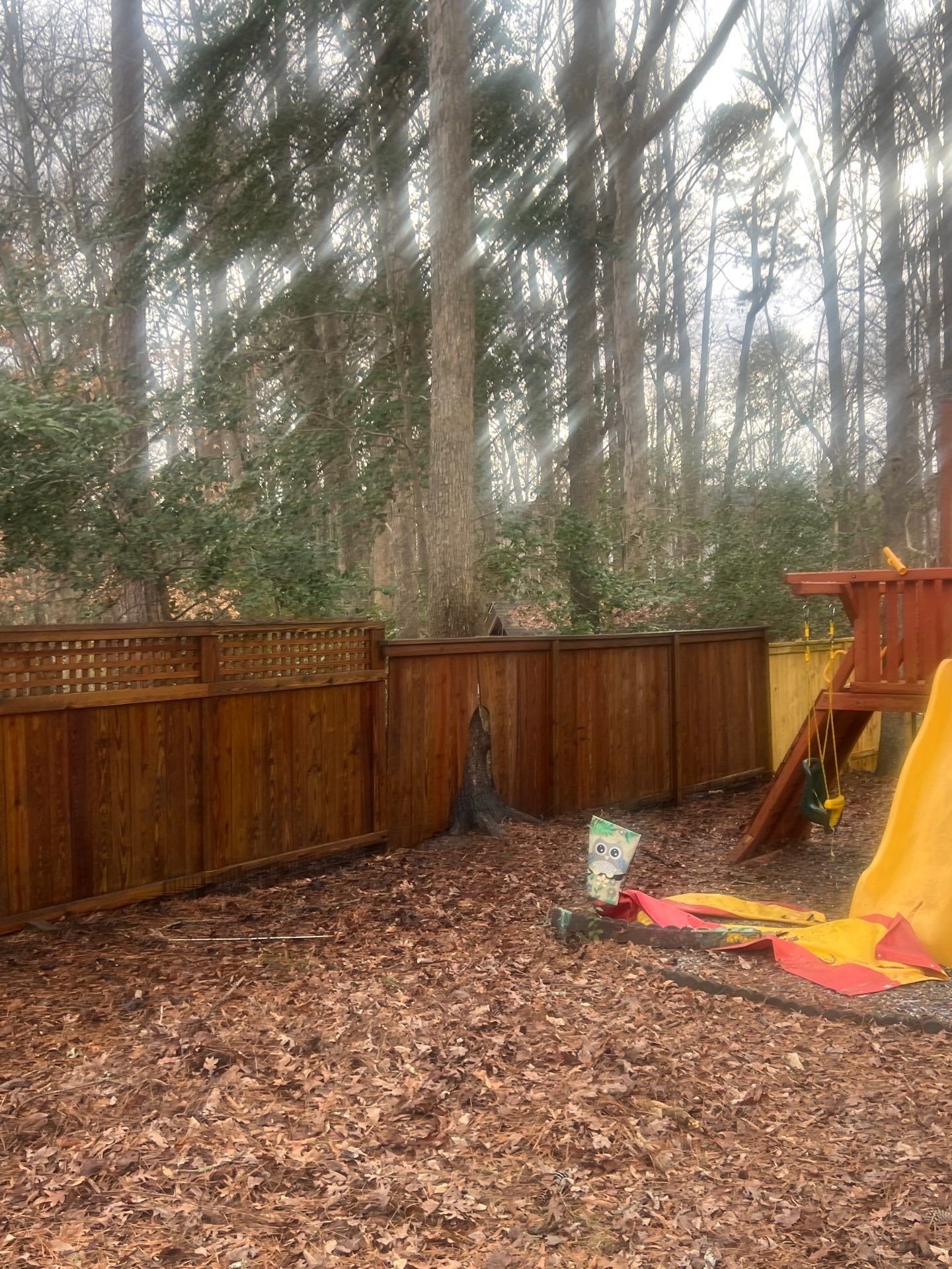 Fence using Wood Sealant by DuraSeal