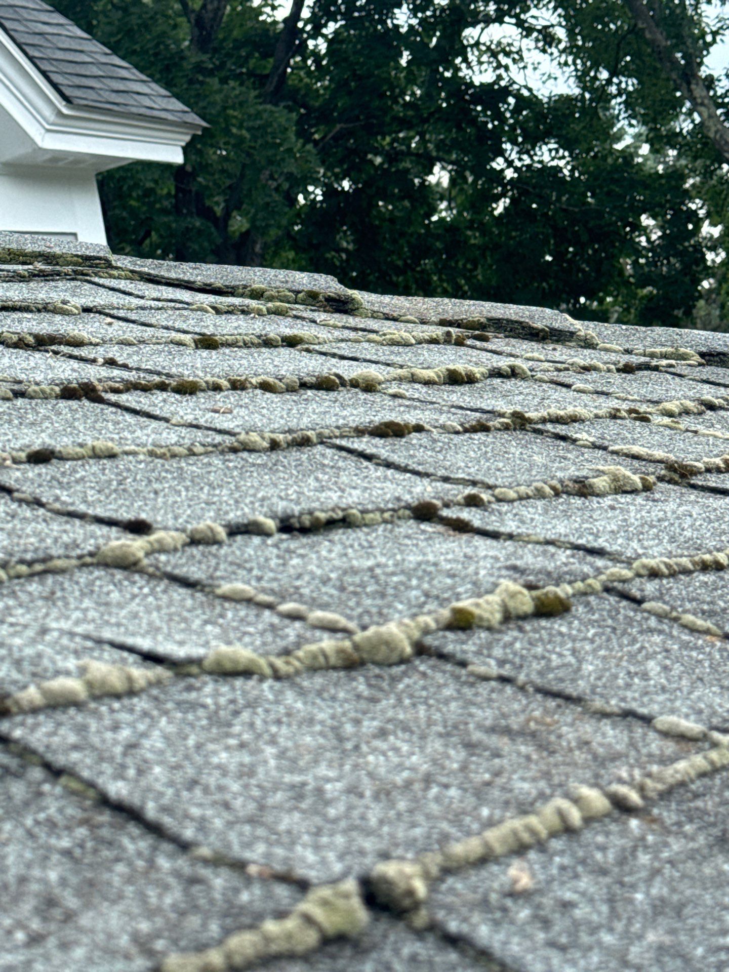Roofing | Concord by Mighty Dog Roofing of Greater Middlesex County