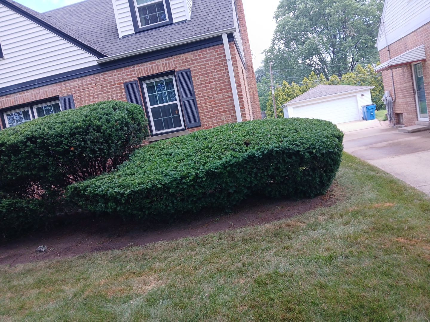 Catherine B. - Mount Prospect, IL by A&N