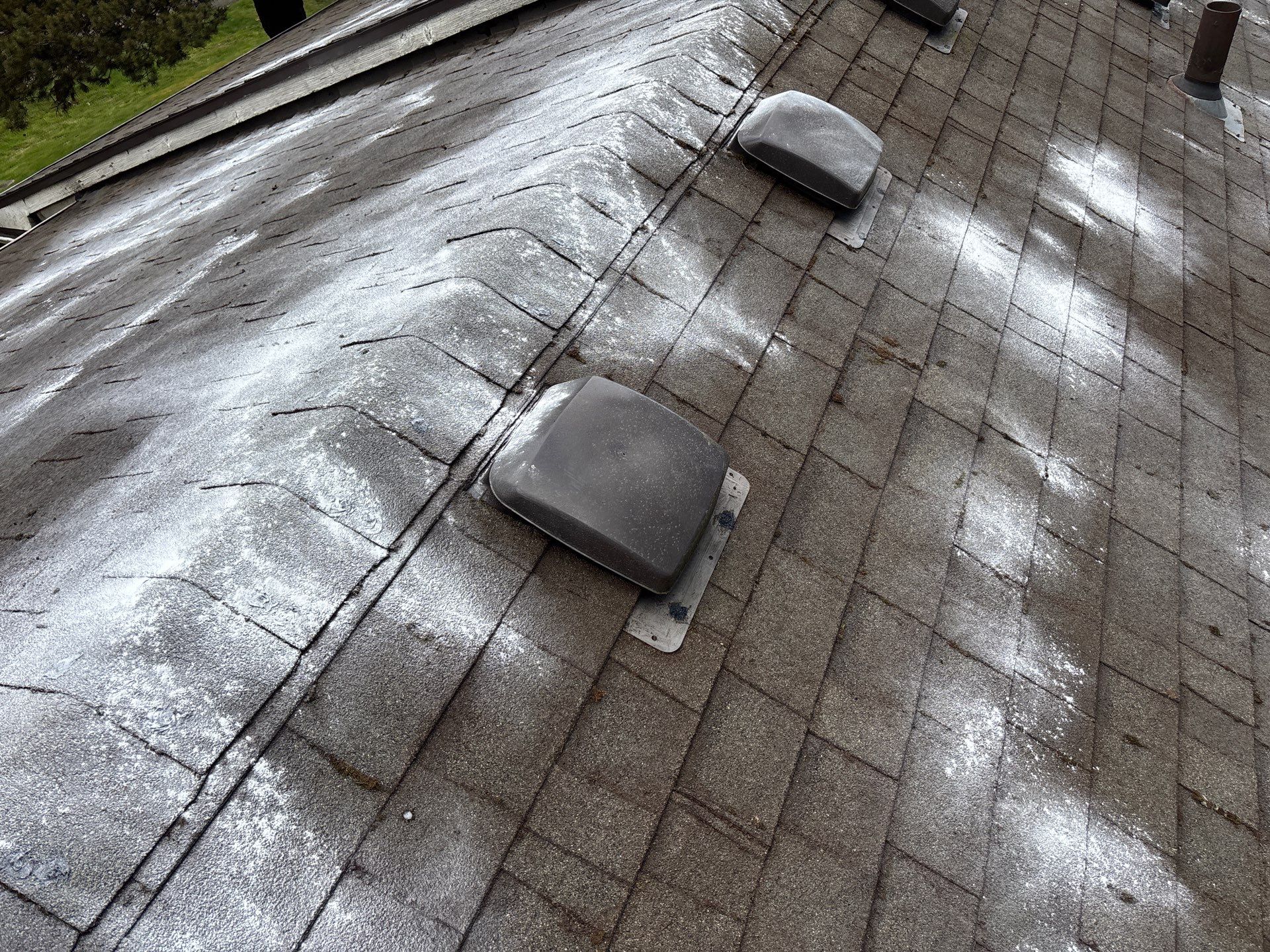 Roof Maintenance in West Linn by Prodigy Roof Solutions