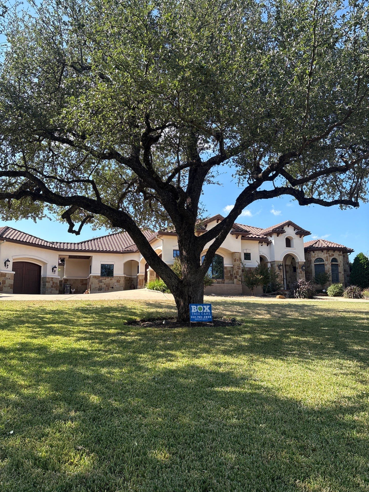 Tree Trimming & Pruning  by Box Tree Care 