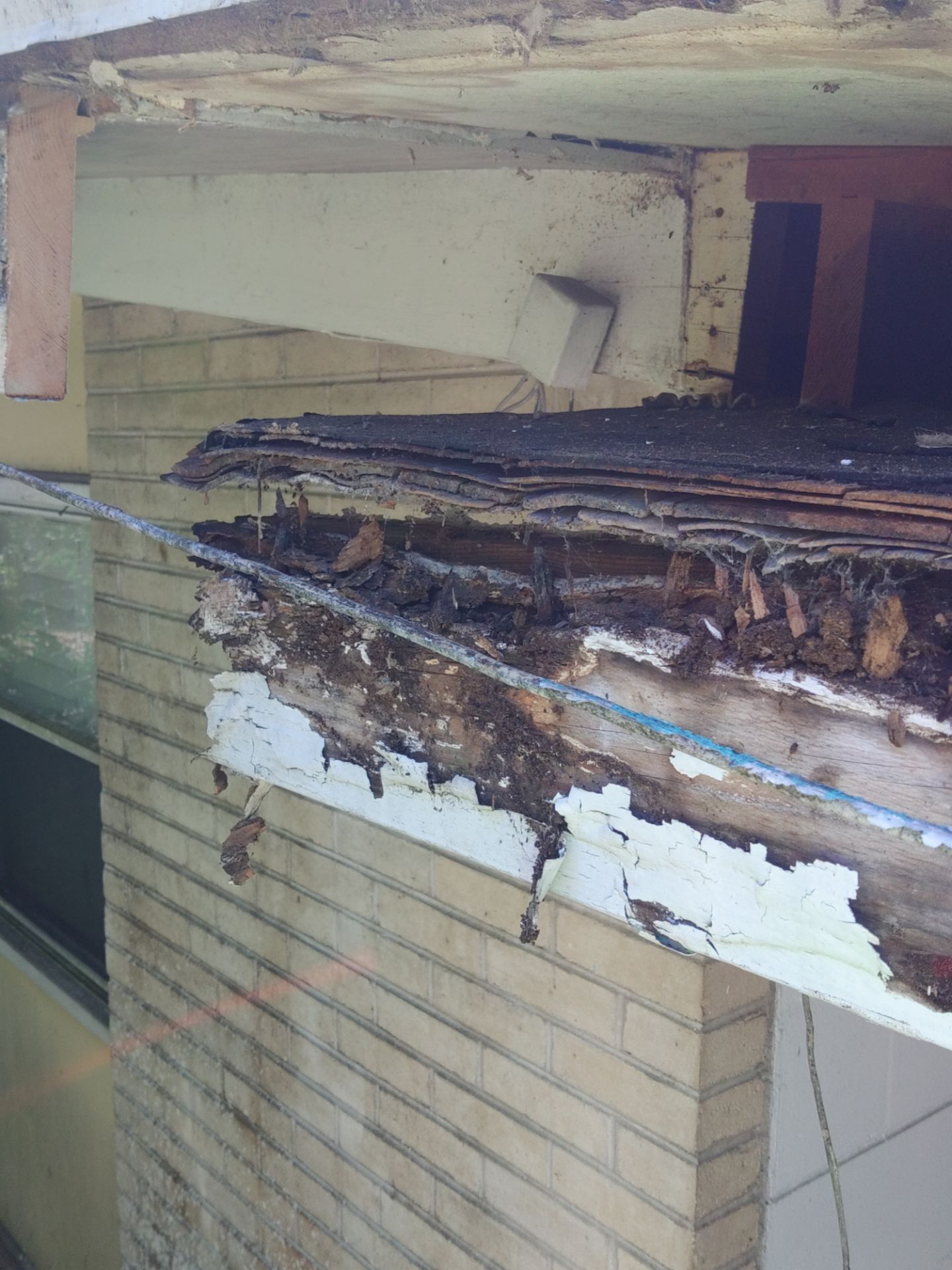 Gutter and Fascia Repair and Maintenance in Siesta Key FL by Gutter Professors