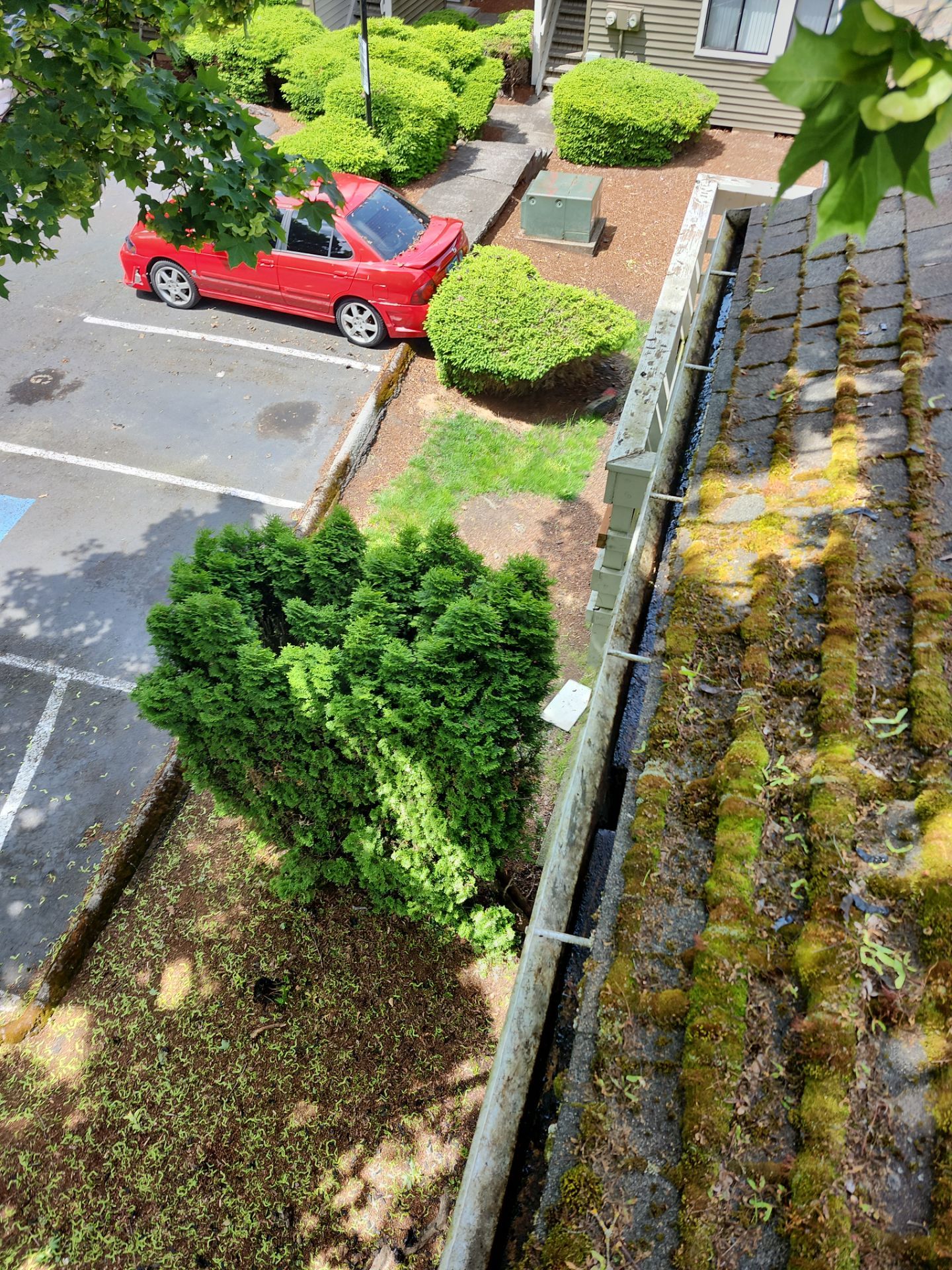 Commercial gutter cleaning Georgia after photo with clean gutters
