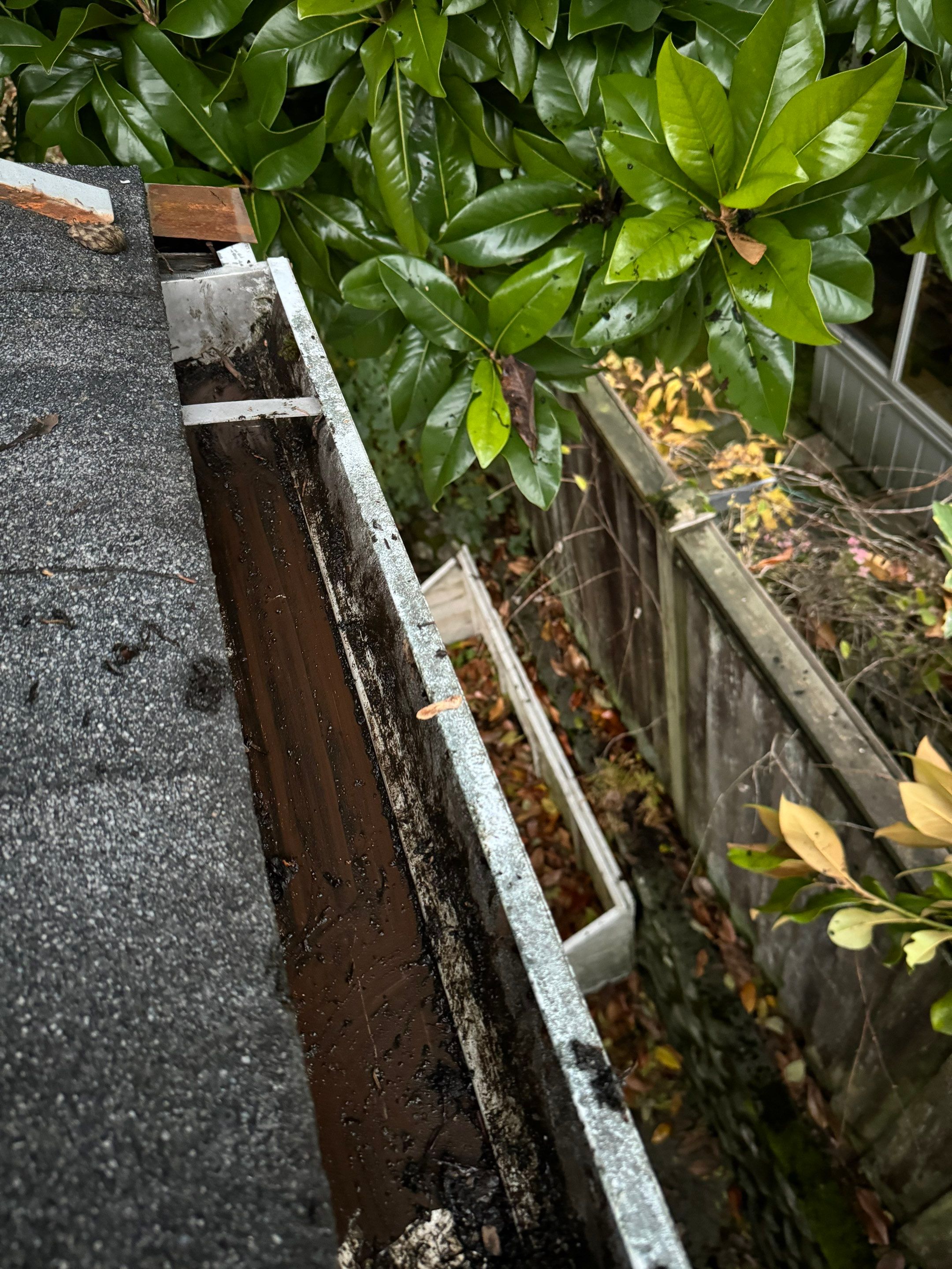 Roof cleaning by YVR Construction Group