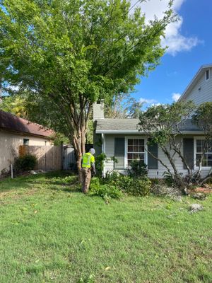 Residential | Tree Removal & Trimming