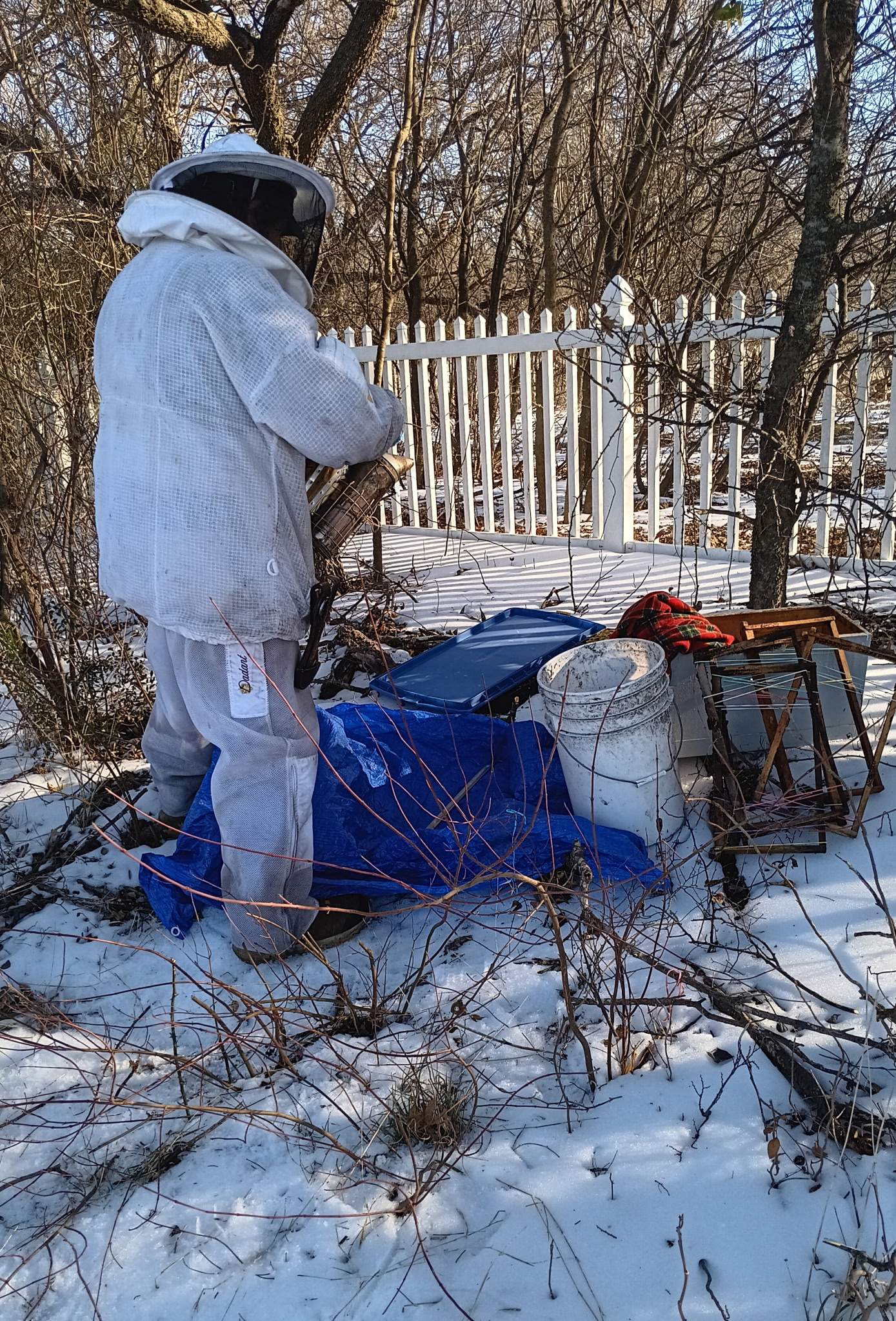 Winter Freeze Bees by Rockwall Honey Bee Company