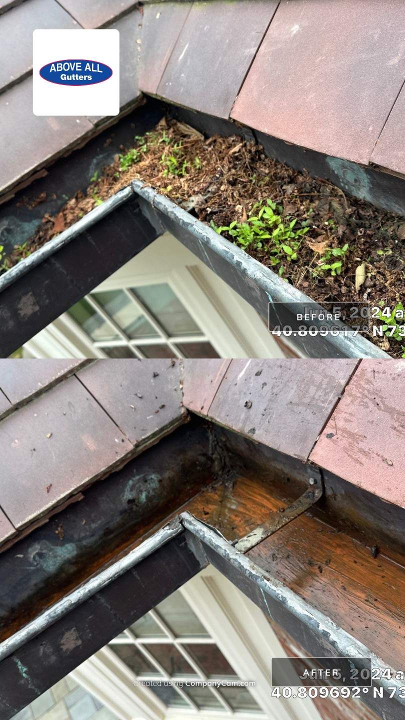Gutter Cleaning Brookville by Above All Gutters 