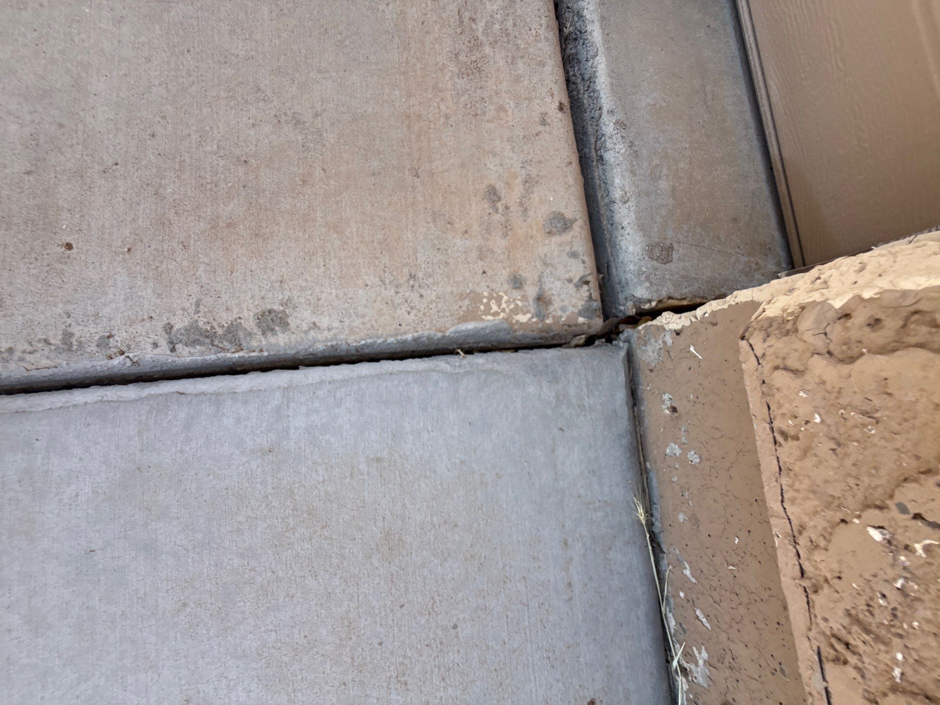 Exterior Painting - Chandler by Crash of Rhinos Painting & Garage Floors