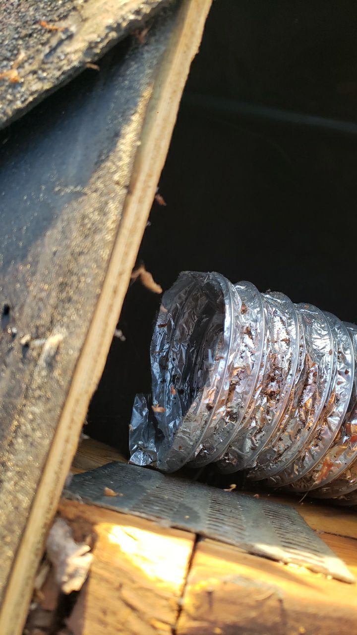 Springfield: CertainTeed Landmark Pro Designer Shingles in Max Def Pewterwood by RM Banning, Inc.