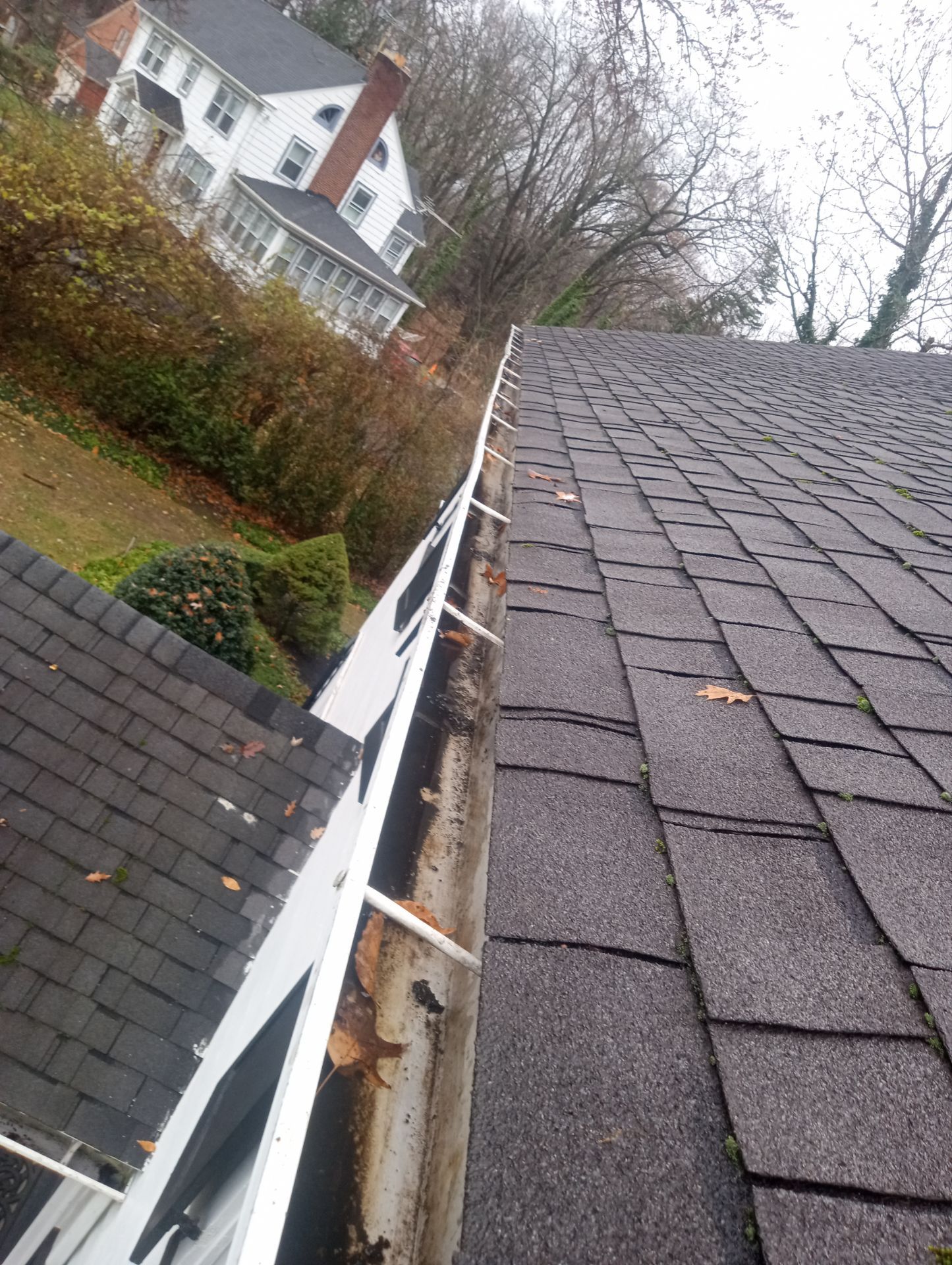 Dan Raines by Silver Leaf Contracting 