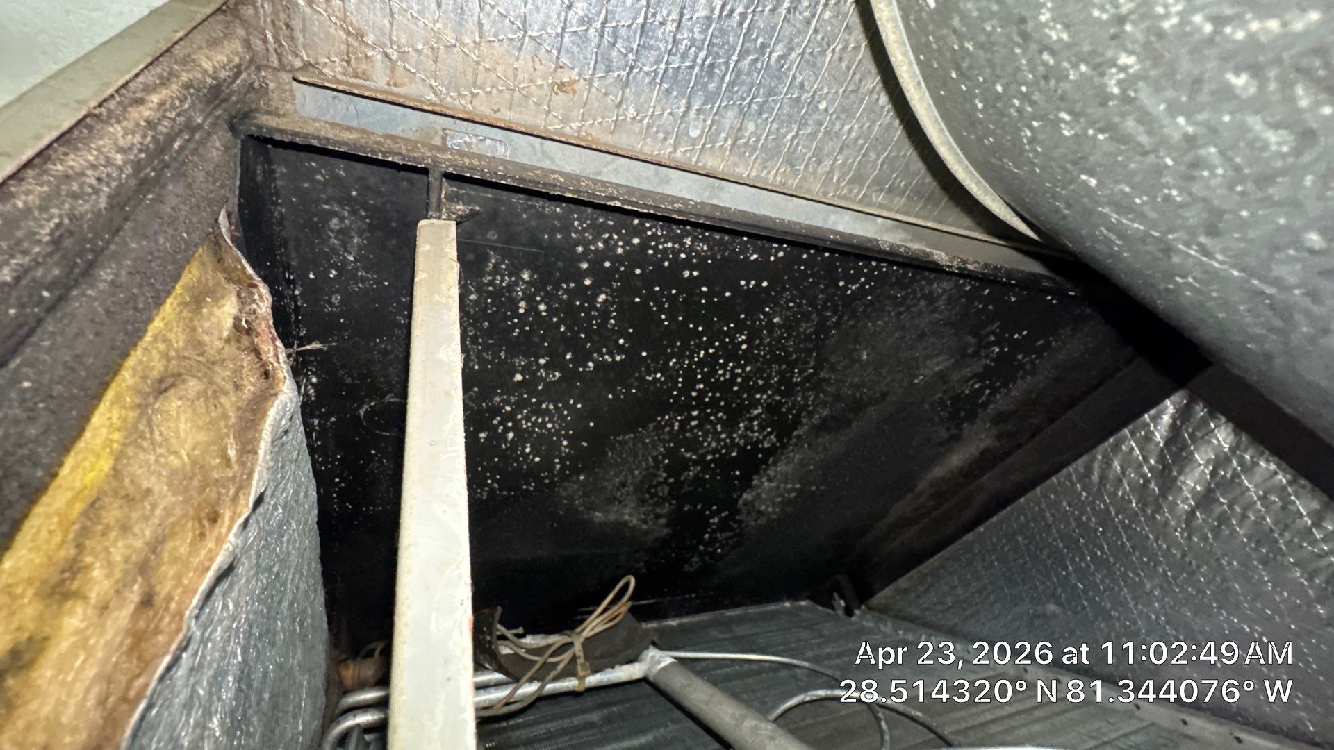 Air Duct Cleaning in Orlando by Hygienic Air, Inc