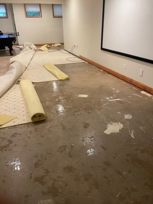 Project by BlueRed Restoration