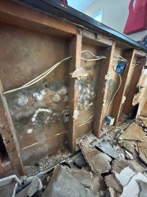 Mold Remediation + Reconstruction Bradenton
