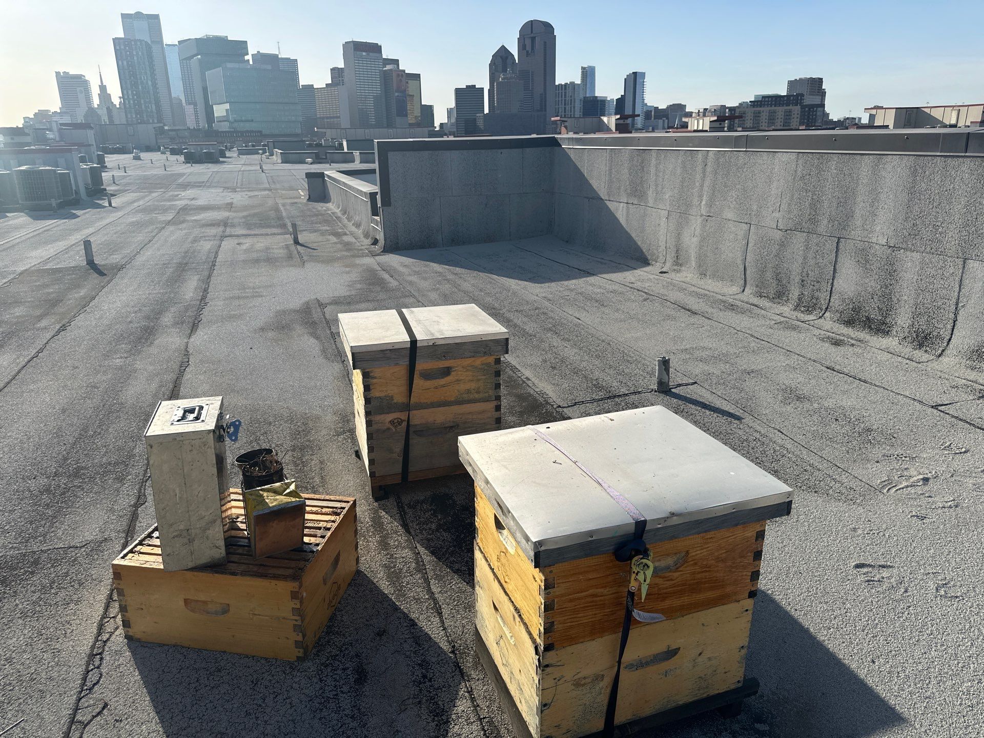 Rockwall Honey Bee Company featured photo.